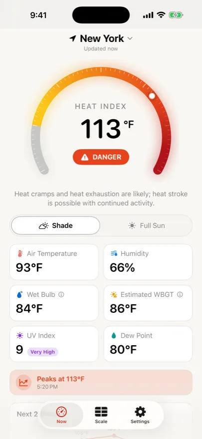 The app's main screen: a heat index gauge reading 113°F in the Danger band, with tiles for air temperature, humidity, wet bulb, estimated WBGT, UV index and dew point.